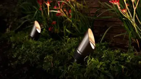 Landscape Lighting WInter Garden FL