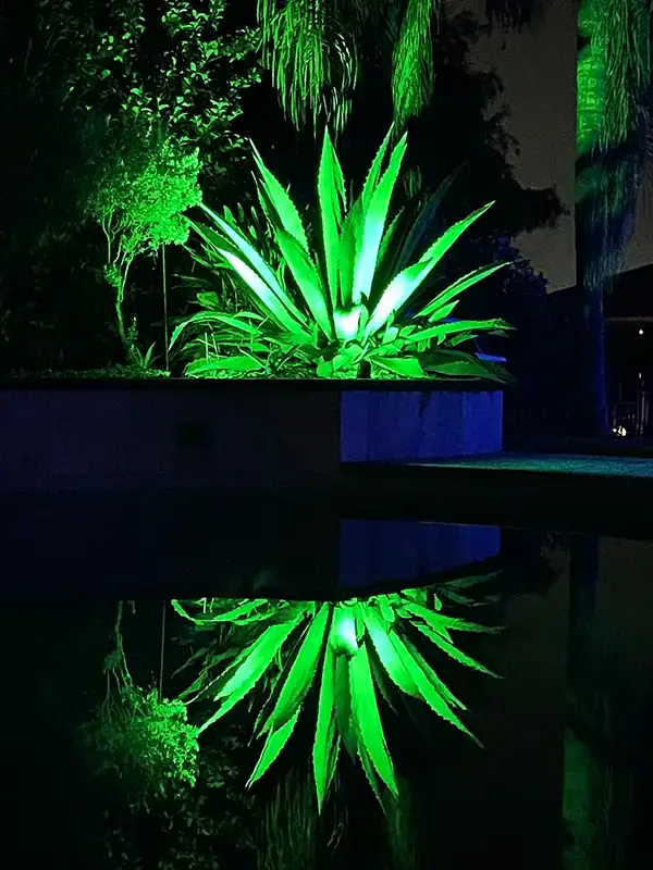 Dr Phillips Florida Pool Lighting