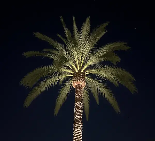 Outdoor Lighting Maitland FL