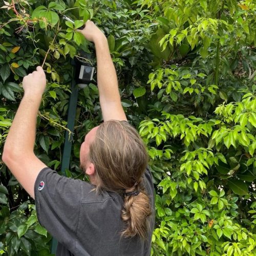Professional Landscape Light Installers Near Me Professional Landscape Light Installers Near Me